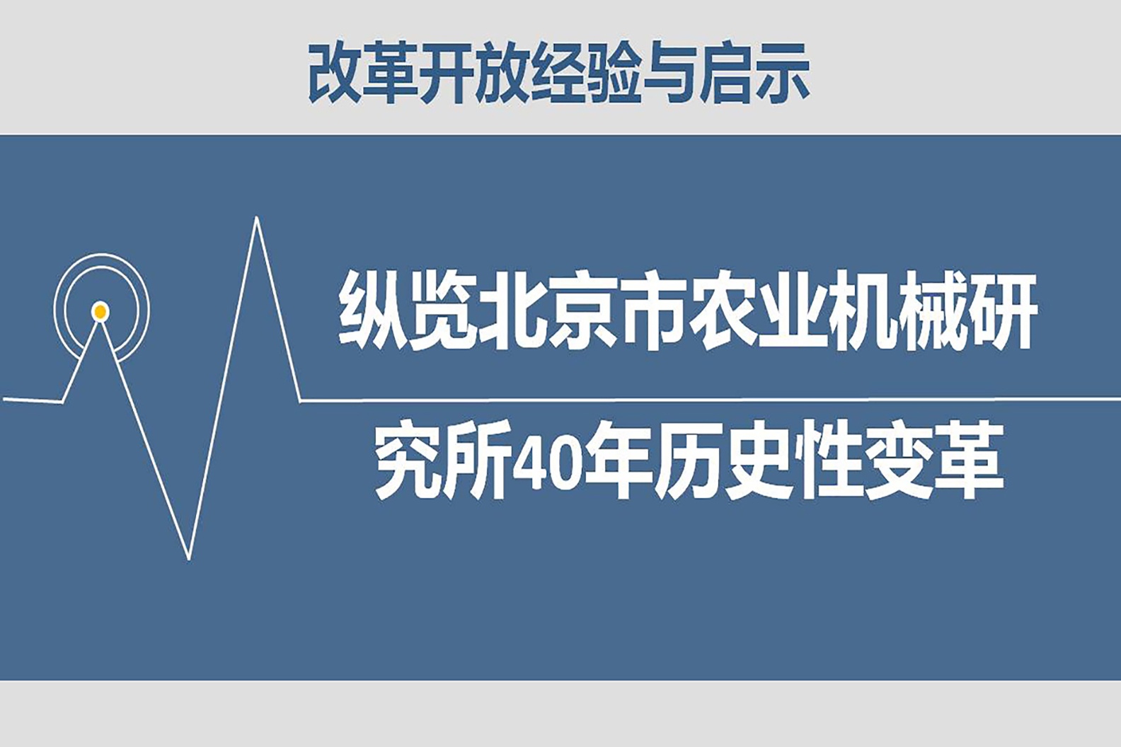 大鱼游戏官网